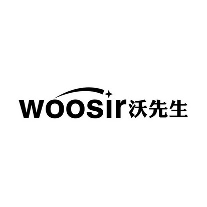 沃先生 WOOSIR