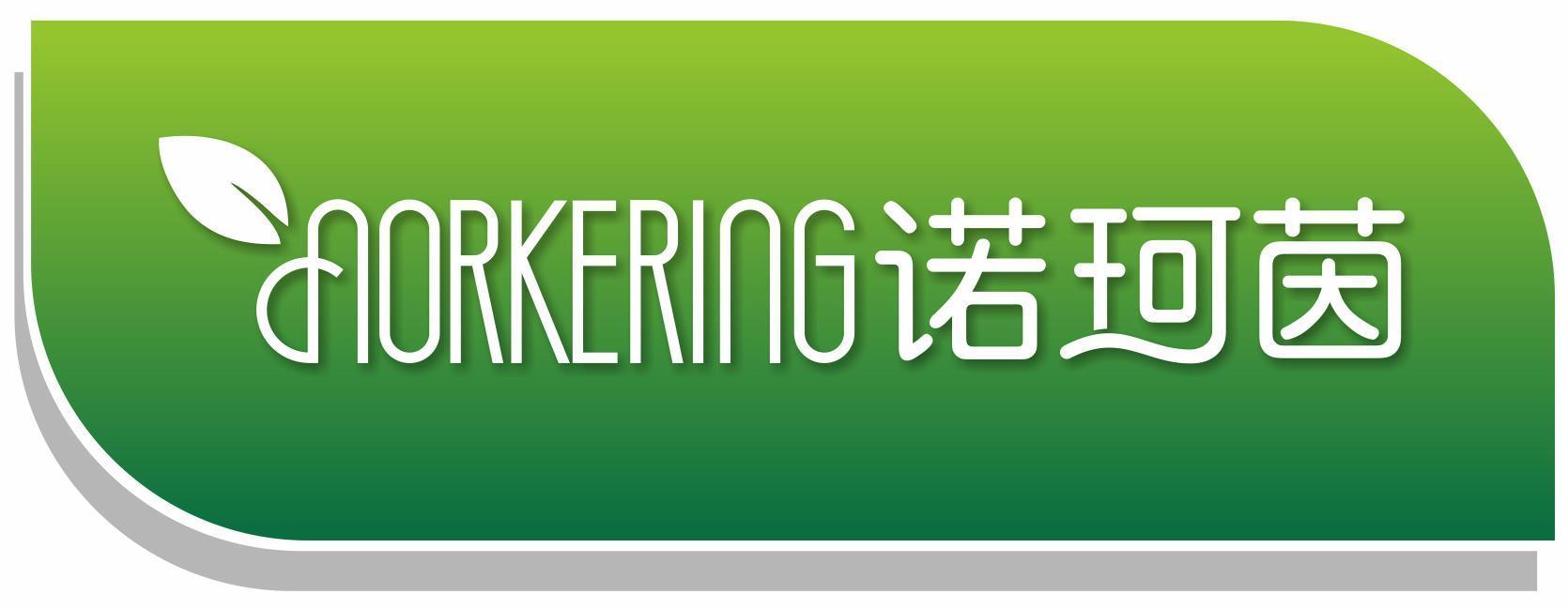 NORKERING 诺珂茵
