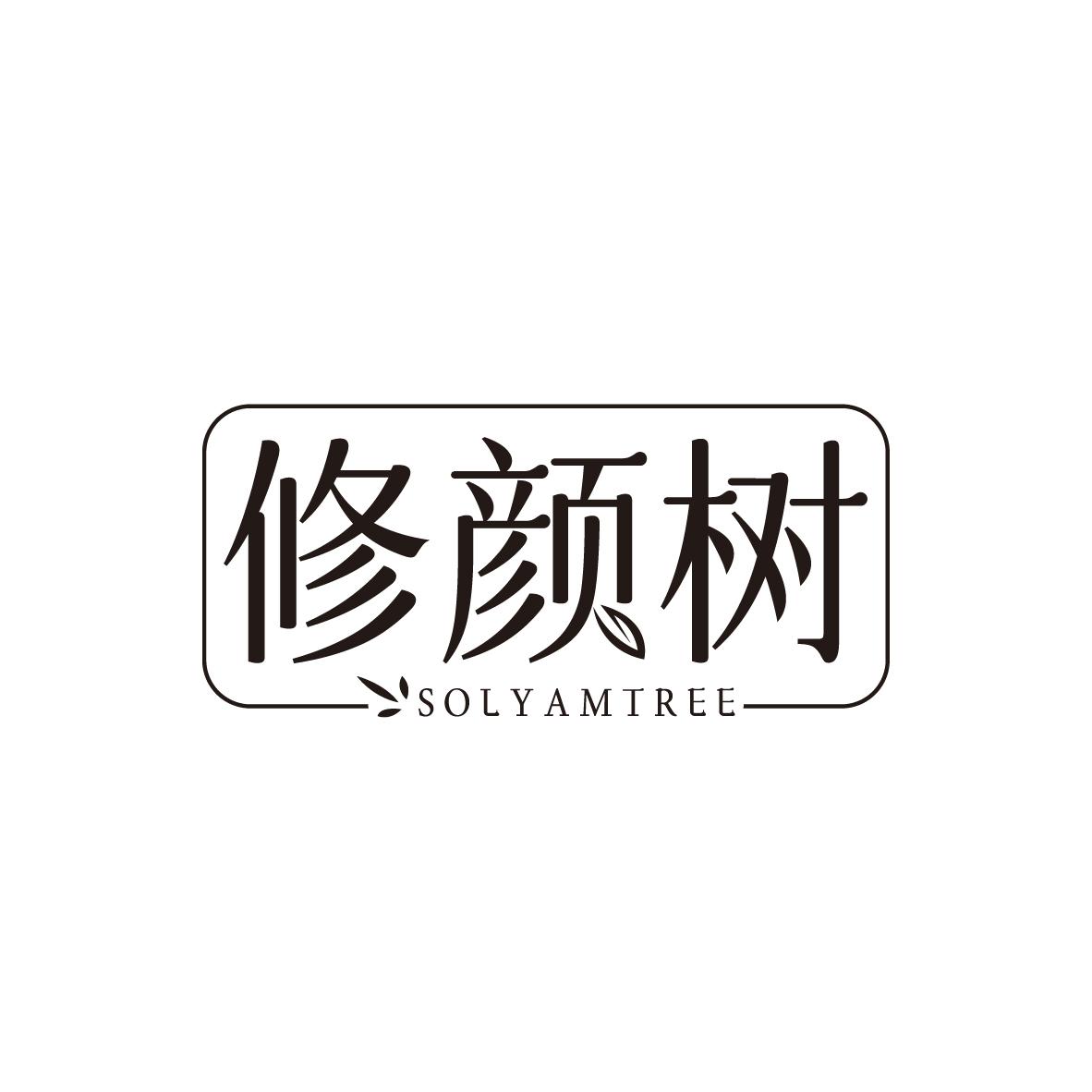 修颜树 SOLYAMTREE