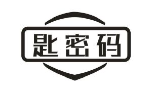 匙密码