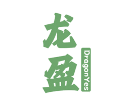 龙盈 DRAGONYES