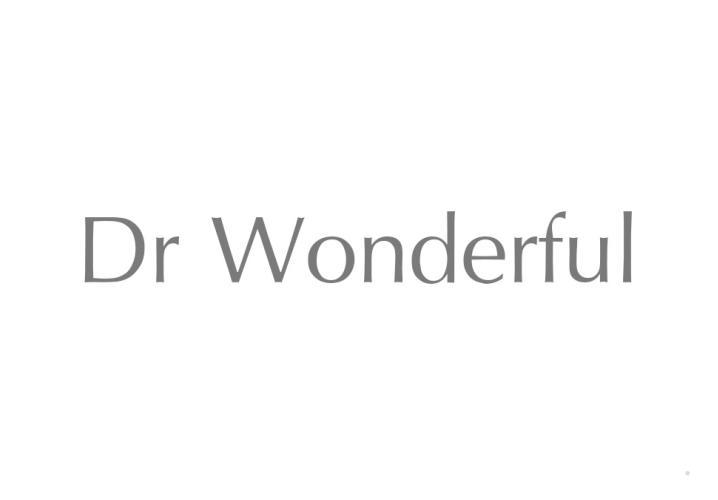 DR WONDERFUL