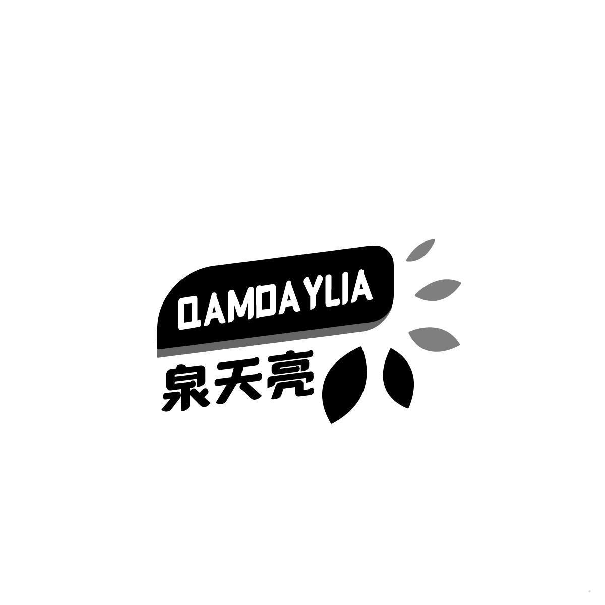 泉天亮 QAMDAYLIA