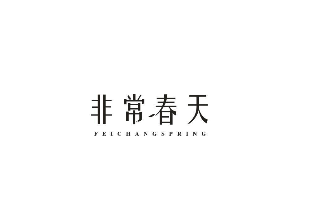 非常春天 FEICHANGSPRING