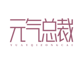 元气总裁 YUAYQIZONGCAI