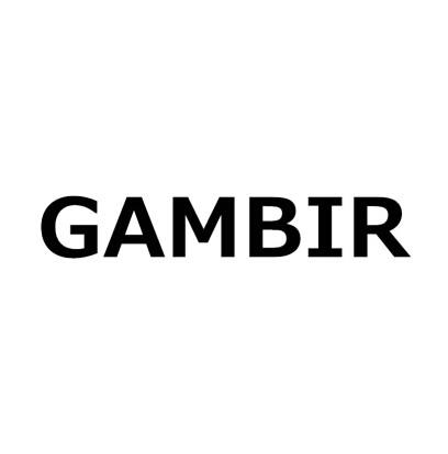 GAMBIR