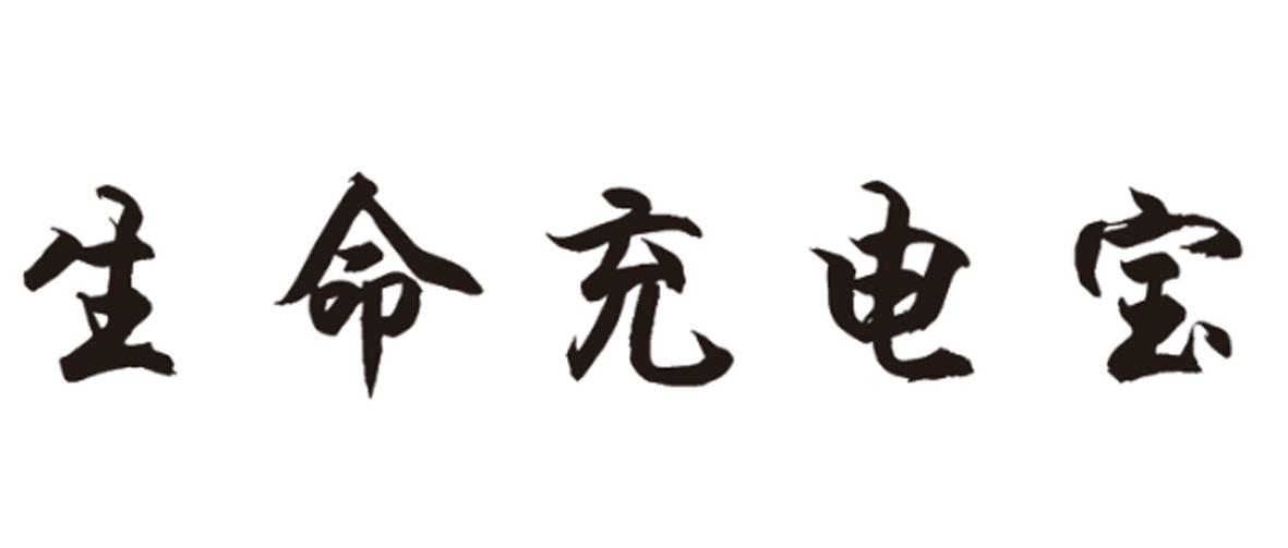 生命充电宝