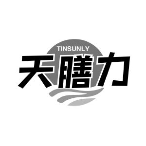 天膳力 TINSUNLY
