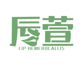 唇萱 LIP HEMEROCALLIS