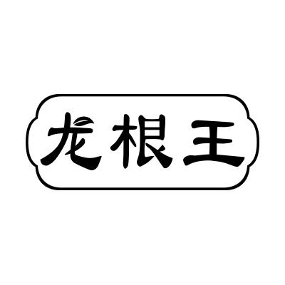 龙根王