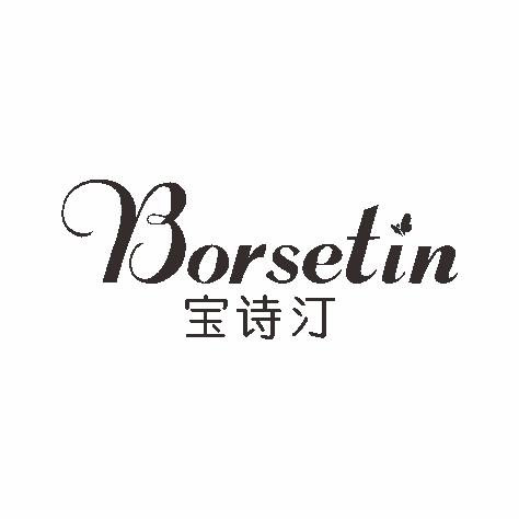 宝诗汀 BORSETIN