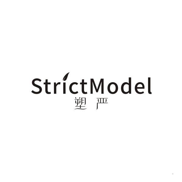 塑严 STRICTMODEL