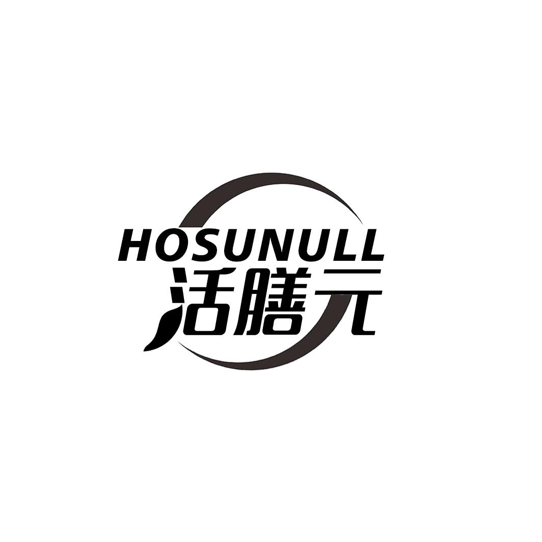 HOSUNULL 活膳元