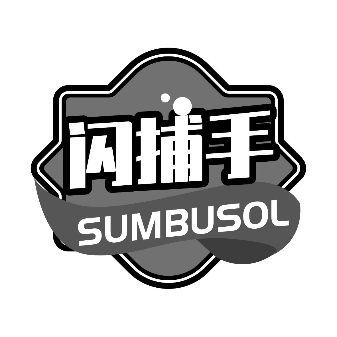 闪捕手 SUMBUSOL