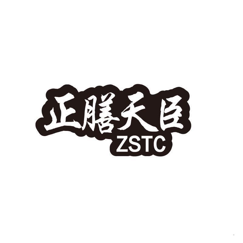 正膳天臣 ZSTC