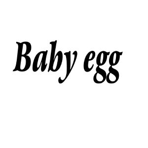 BABY EGG
