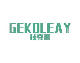 技克莱 GEKOLEAY
