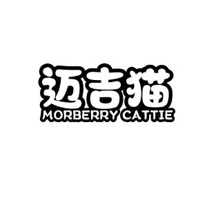 迈吉猫 MORBERRY CATTIE
