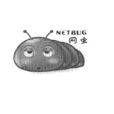 网虫  NETBUG
