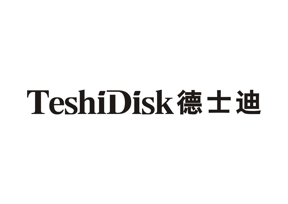 德士迪 TESHIDISK
