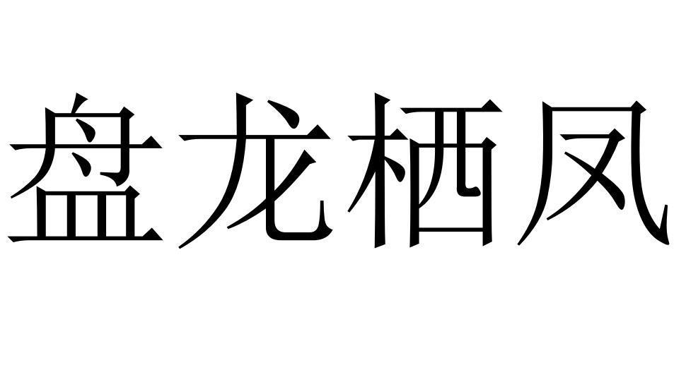 盘龙栖凤