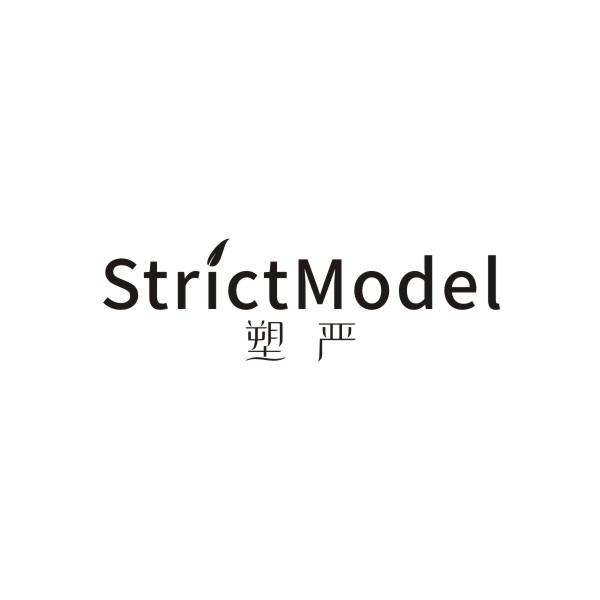 STRICTMODEL 塑严