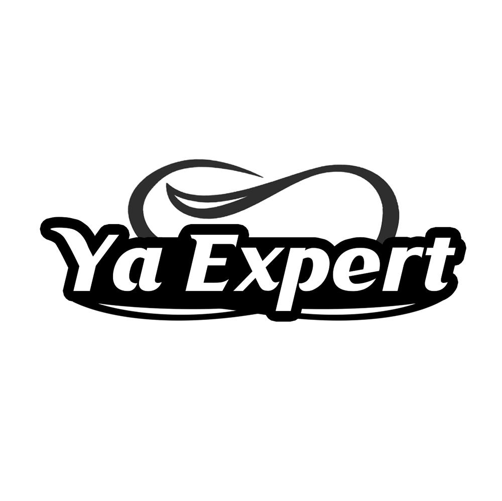 YA EXPERT