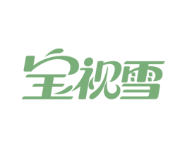 宝视雪