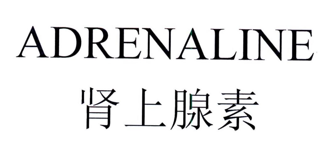 肾上腺素 ADRENALINE