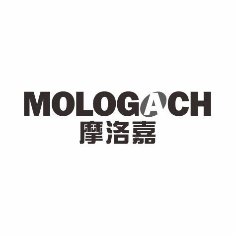 摩洛嘉 MOLOGACH