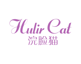 HULIR CAT 浣脸猫