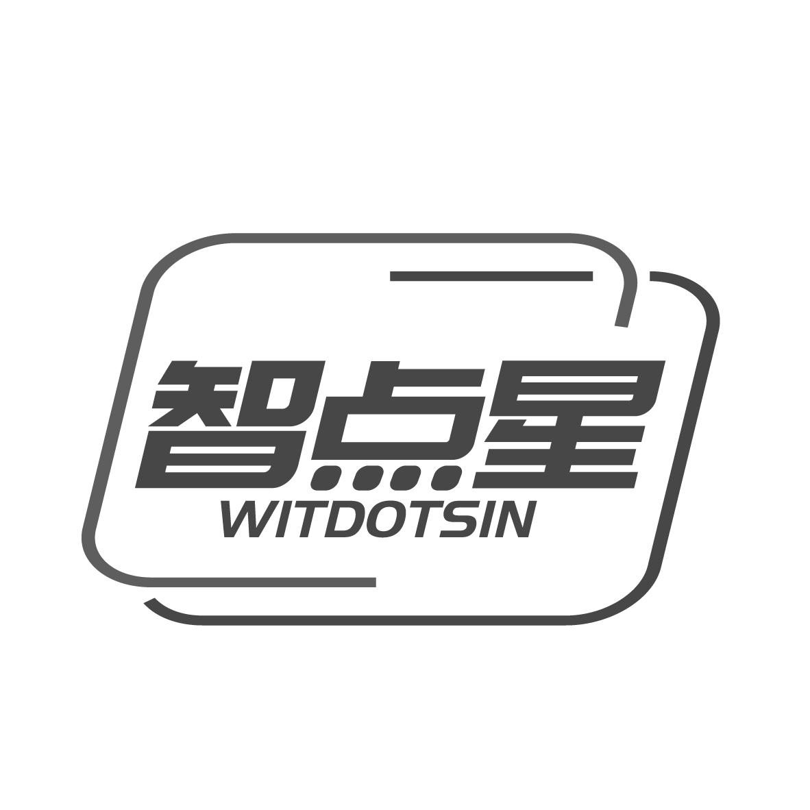 智点星 WITDOTSIN