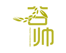 谷帅 PADDYHANDSOME