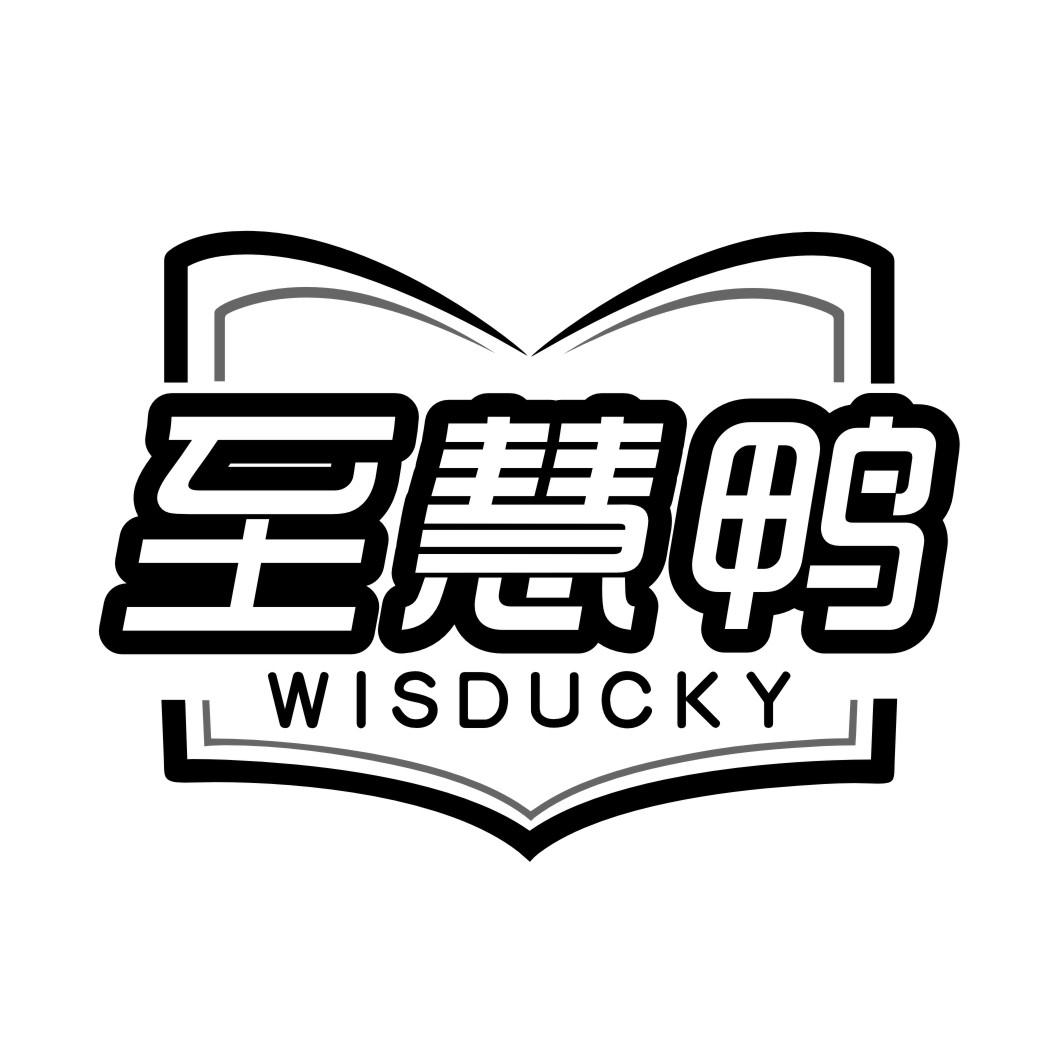 至慧鸭 WISDUCKY