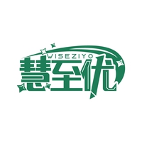 WISEZIYO 慧至优