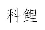 科鲤