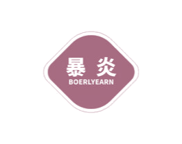 暴炎 BOERLYEARN