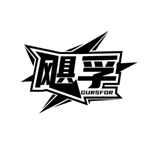 飓孚 GURSFOR