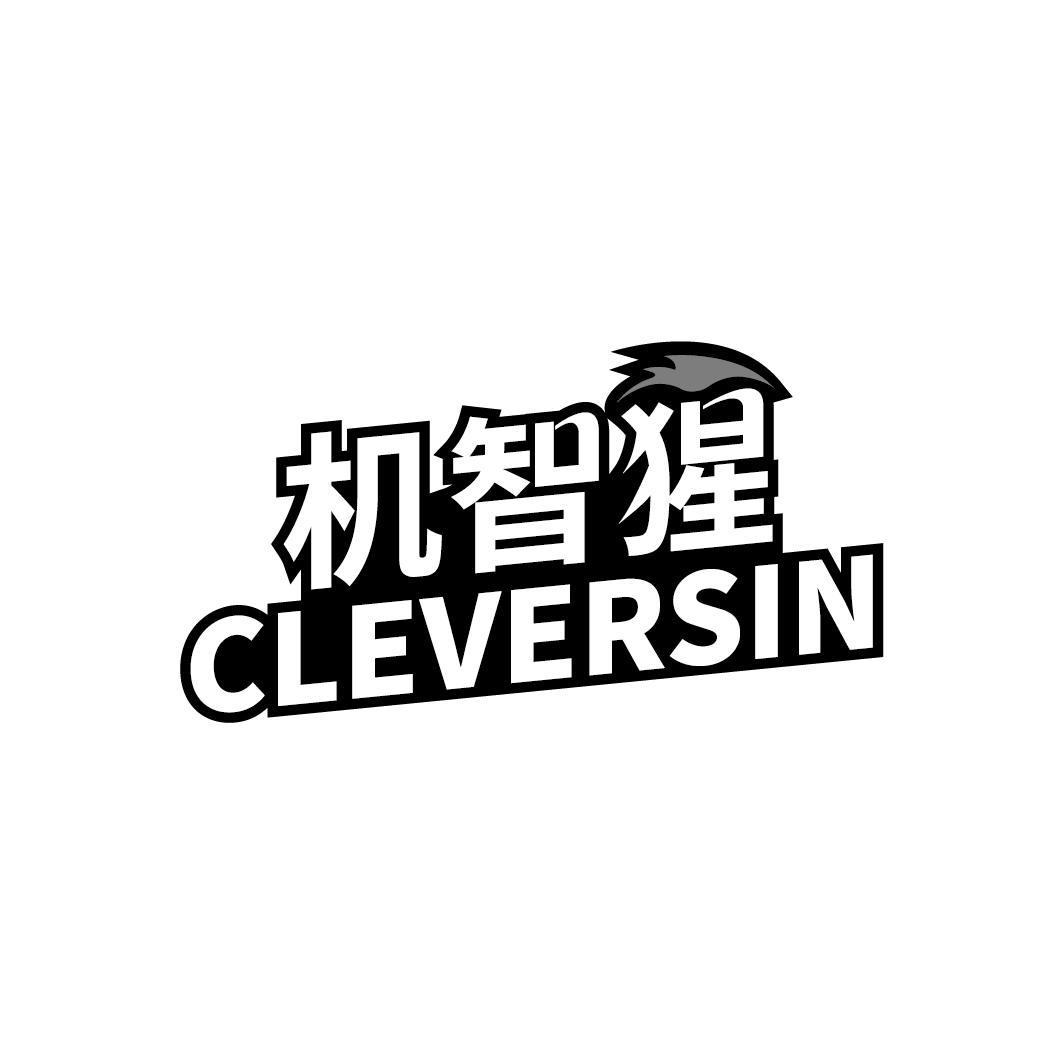 机智猩 CLEVERSIN