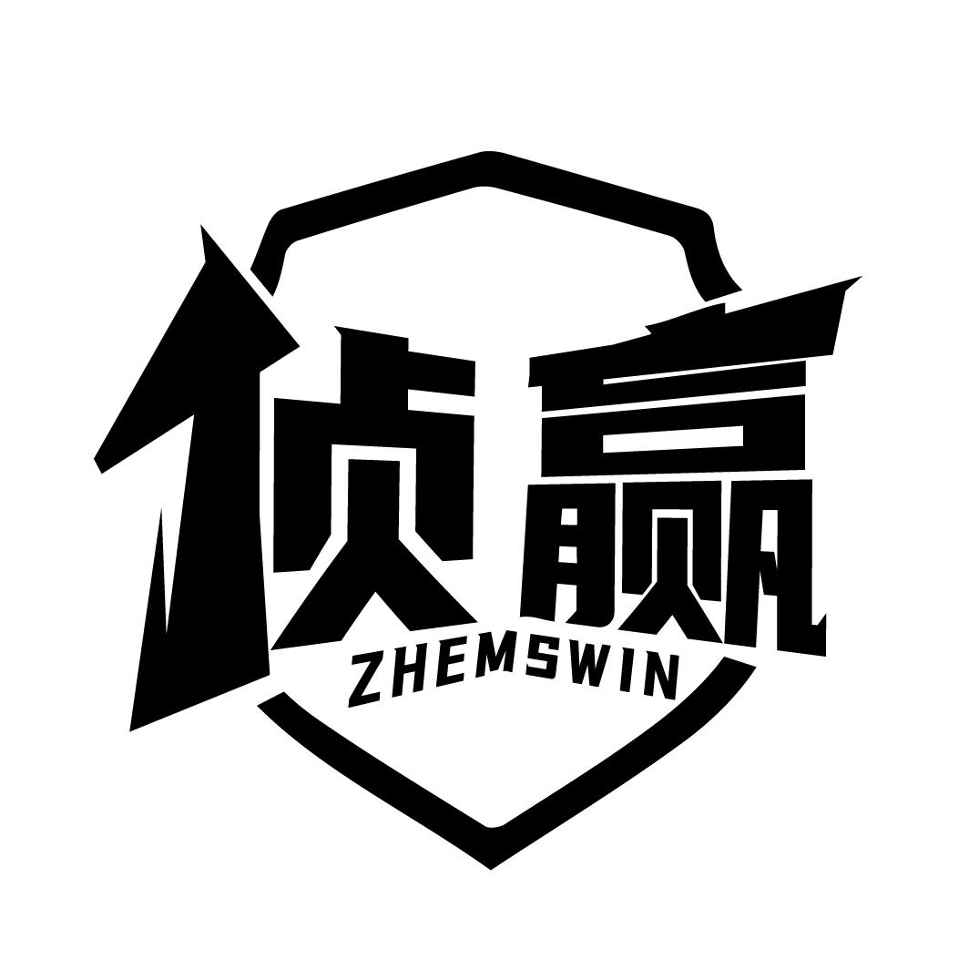 侦赢 ZHEMSWIN