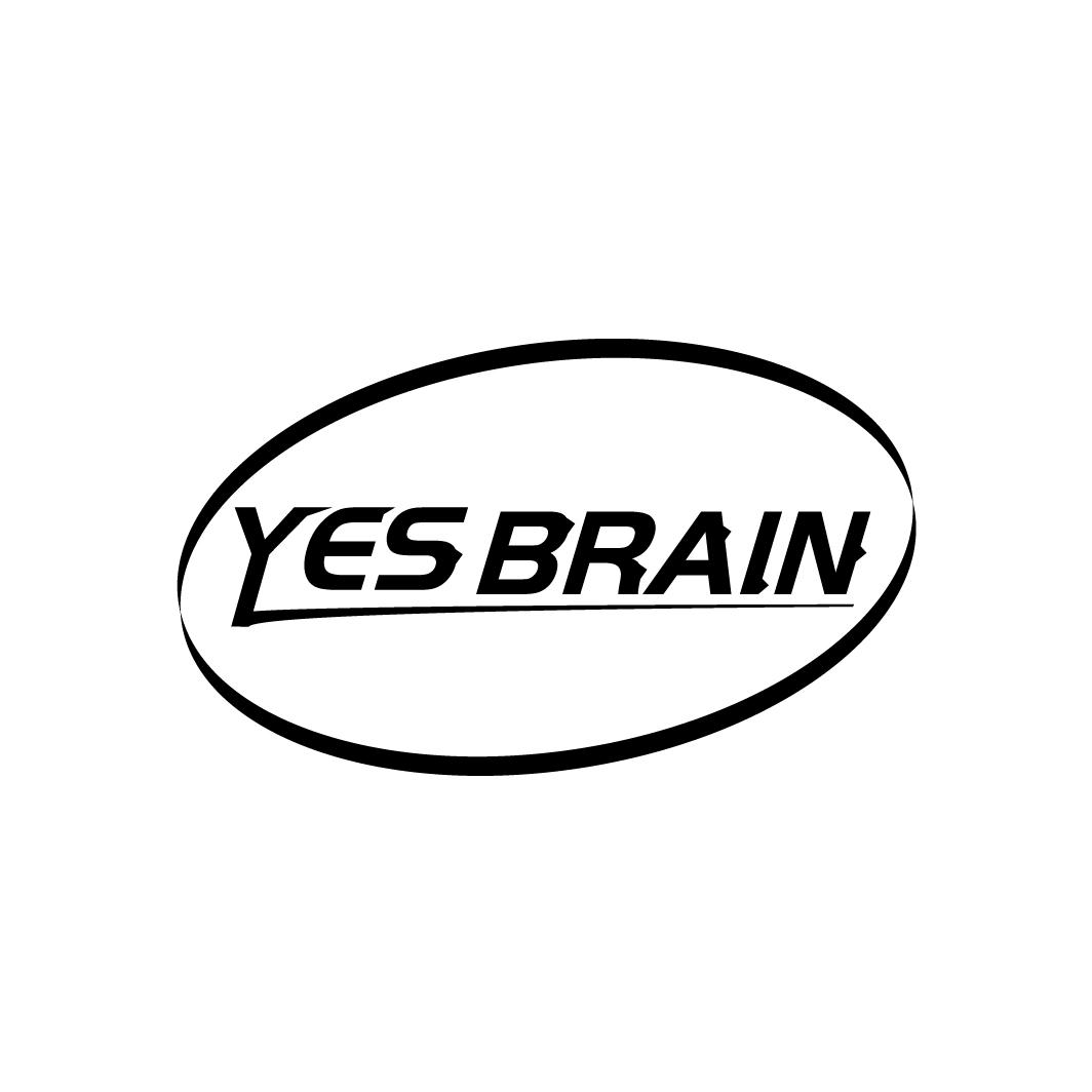YES BRAIN
