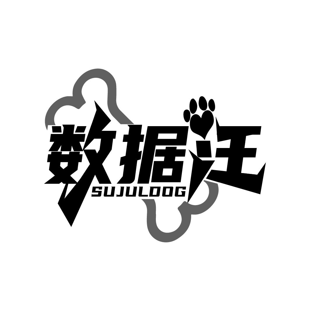 数据汪 SUJULDOG