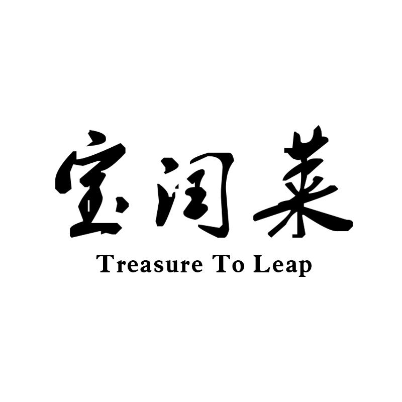 宝闰莱 TREASURE TO LEAP