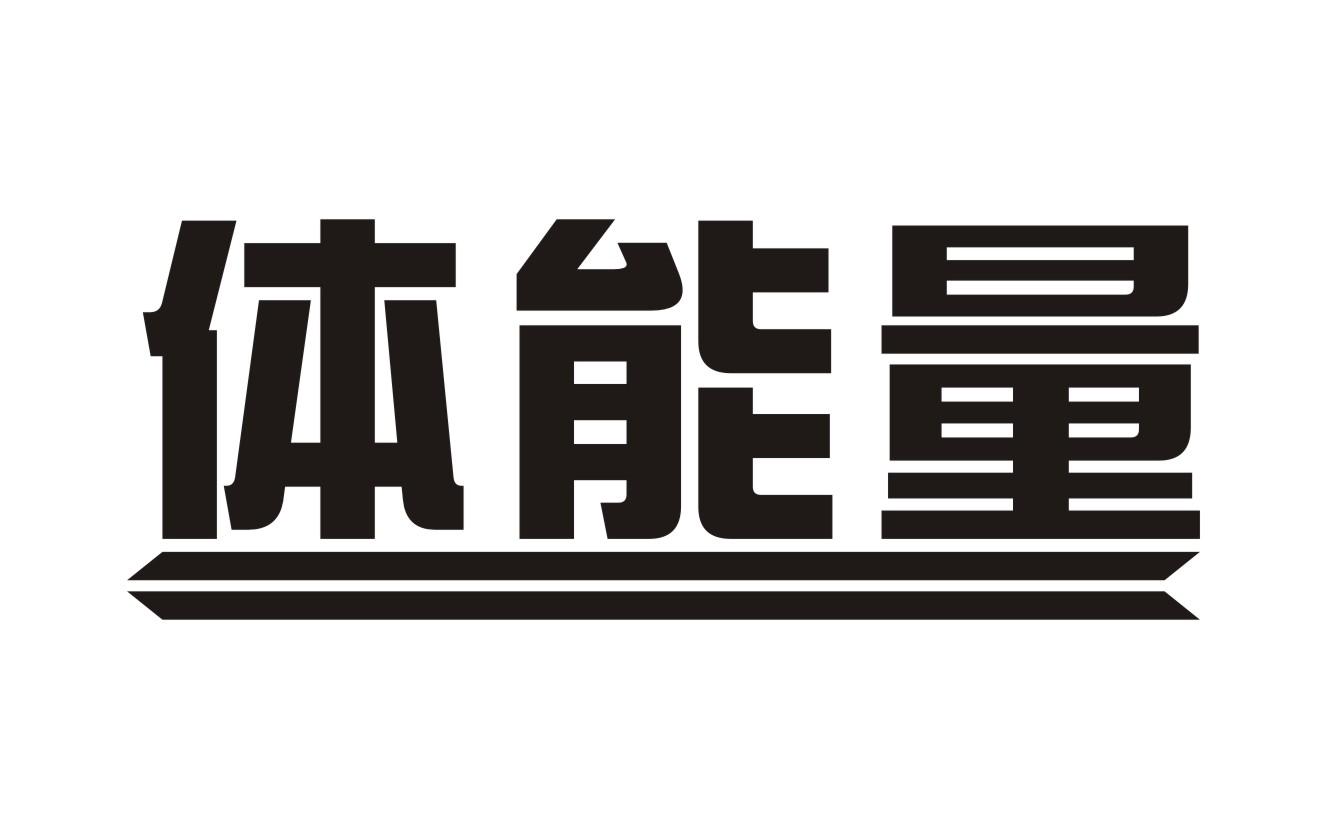 体能量