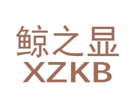 鲸之显 XZKB