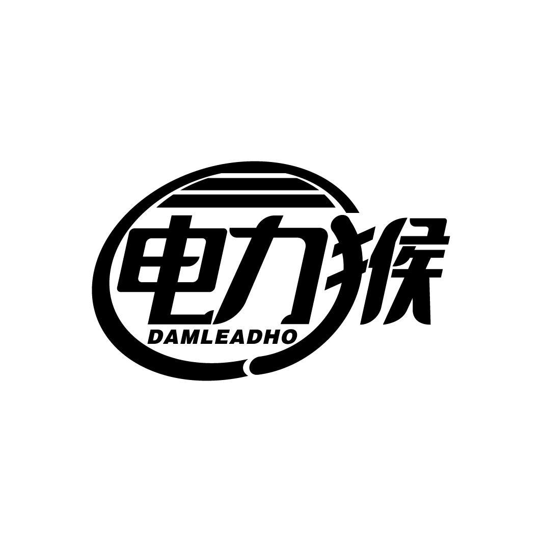 电力猴 DAMLEADHO