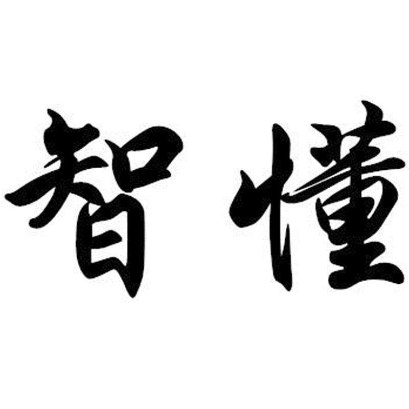 智懂