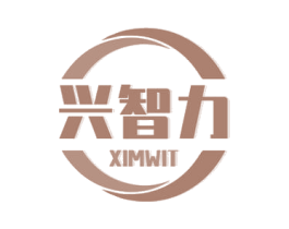 兴智力 XIMWIT