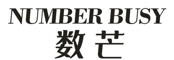 NUMBER BUSY 数芒