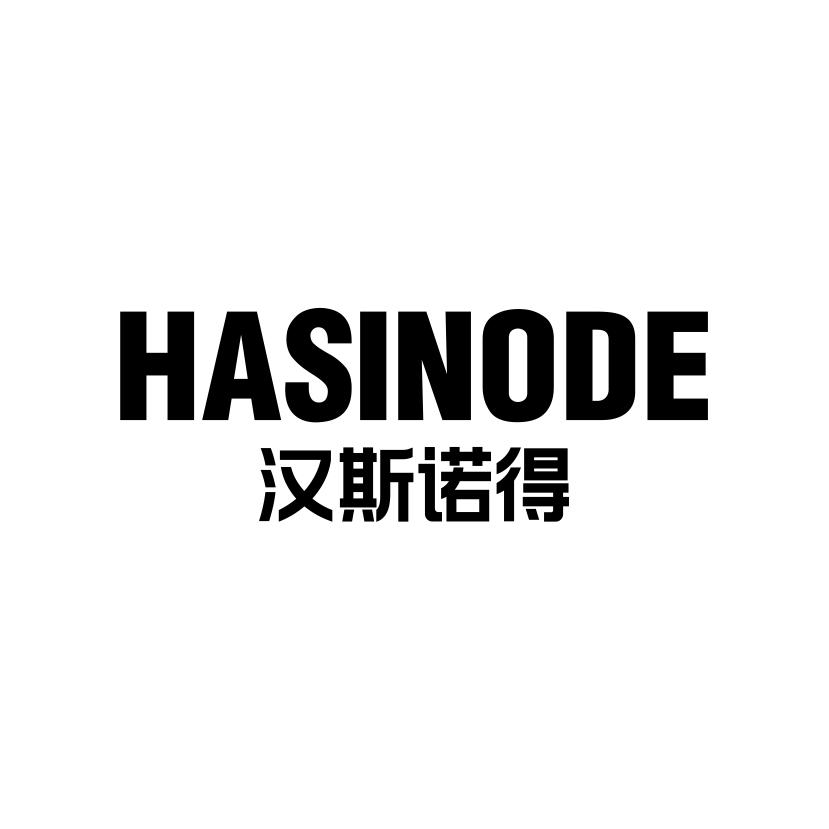 HASINODE 汉斯诺得